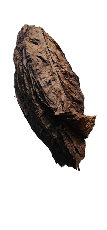 🌿 Premium Red Herring Grabba Leaf - Authentic Natural Tobacco | GIZMOGRABBA GizmoGrabbas Grabba Leaf