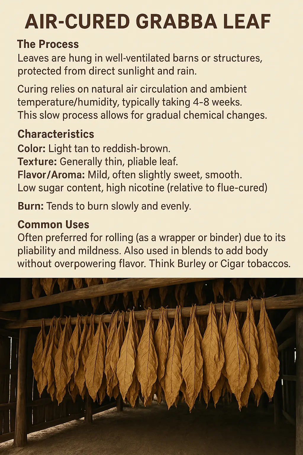 Hidden-Chemicals-in-Popular-Blunt-Wraps-Lab-Analysis-Results-2025 Gizmograbbas.com