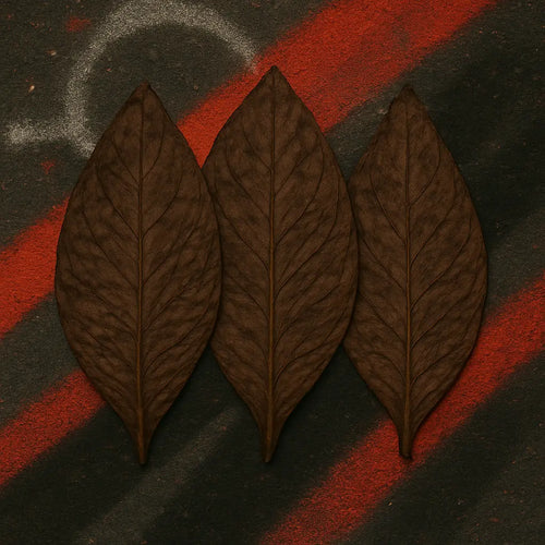 Black Caviar Grabba Leaf – Premium Dark Air‑Cured - Gizmograbbas.com