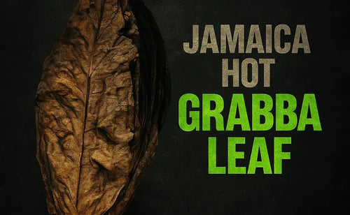 Jamaica Hot Grabba Leaf – Premium Natural Tobacco Leaf for Spliffs, Blunts, or Pipe – Authentic Caribbean Smoke Experience | GizmoGrabbas